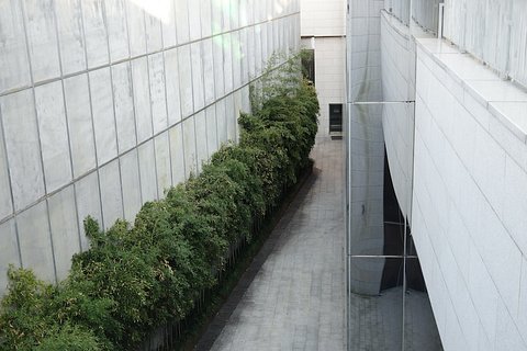 photo-1607258524403-85db6a63085c